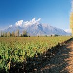 Santiago de Chile wijntour